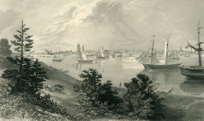 „Miasto Detroit, od wybrzeża Kanady”, 1872. autorstwa Robert Hinshelwood
