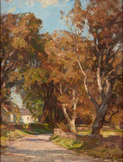 Roadside Near Colvend Manse, Dalbeattie (olej na płótnie) autorstwa Robert Hope