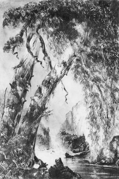 Trenton Falls, Nowy Jork, 1836. autorstwa Robert Jones