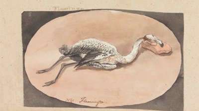 Flaming autorstwa Robert Mabon