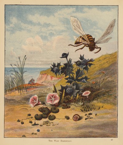 The Kitten Pilgrims: The Wasp Discontent (kolor lito) autorstwa Robert Michael Ballantyne