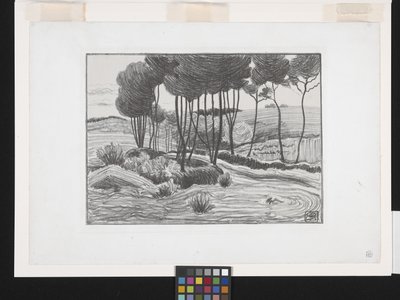 Topole (litografia) autorstwa Robert Polhill Bevan