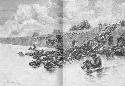 Stado bydła przechodzące przez Urugwaj, ok. 1885, 1890 r autorstwa Robert Taylor Pritchett
