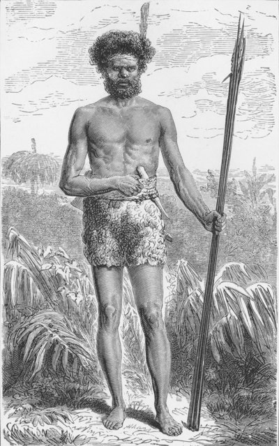 Pochodzący z Australii, c1885, 1890 autorstwa Robert Taylor Pritchett