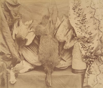 Martwa natura i haft, 1856. autorstwa Robert Wilfred Skeffington Lutwidge