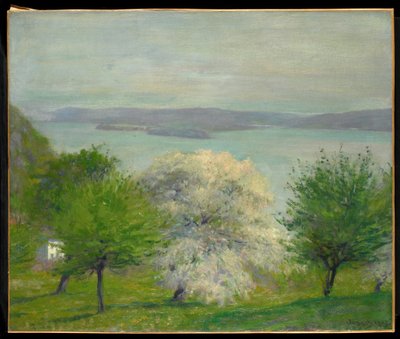 Kwiat jabłoni, 1903 autorstwa Robert William Vonnoh