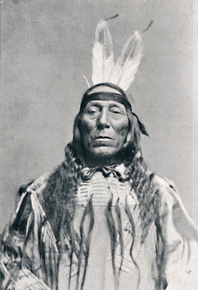 Widok całej twarzy Indianina Siuksów, 1912 autorstwa Robert Wilson Shufeldt