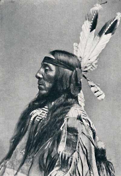 Widok profilu Sioux, 1912 autorstwa Robert Wilson Shufeldt