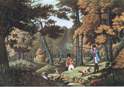 Strzelanie do bażanta w pobliżu Uxbridge, Nature in Britain, wyd. Collins, 1946 autorstwa Robert the Elder Havell