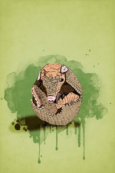 Baby Armadillo, 2022 (cyfrowy) autorstwa Roberta Murray