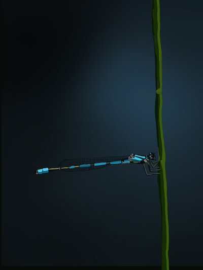 Damselfly, 2022 (cyfrowy) autorstwa Roberta Murray
