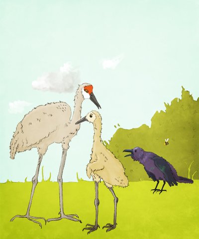 Gus Gus And The Corvid, 2020 (w wersji cyfrowej) autorstwa Roberta Murray