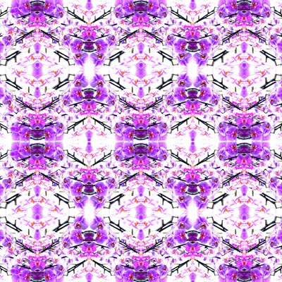 Powtarzanie orchidei autorstwa Robyn Parker
