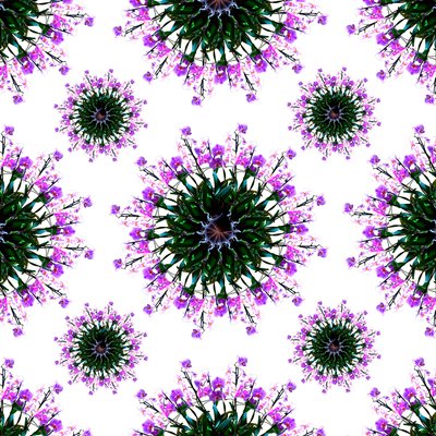Świat orchidei autorstwa Robyn Parker