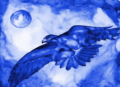 Lot „Blue Hawk Moon” autorstwa RodMacIver