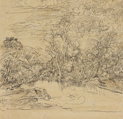 Bank Stawu autorstwa Rodolphe Bresdin