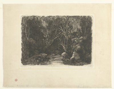 Leśny krajobraz ze strumieniami i zwisającymi drzewami Le Ruisseau sous bois autorstwa Rodolphe Bresdin