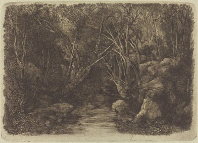 Potok w lesie autorstwa Rodolphe Bresdin