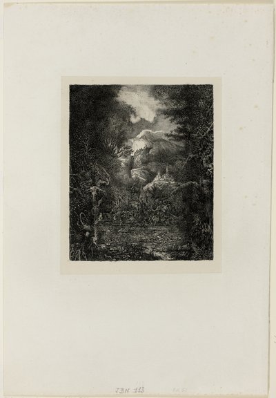 Miasta poza bagnami autorstwa Rodolphe Bresdin