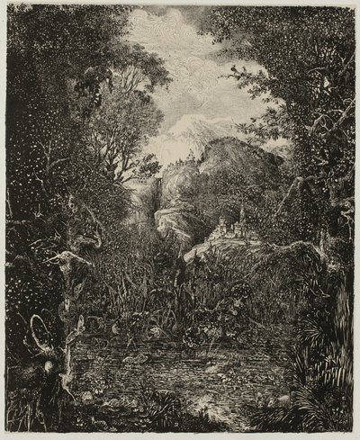 Miasta za bagnami autorstwa Rodolphe Bresdin