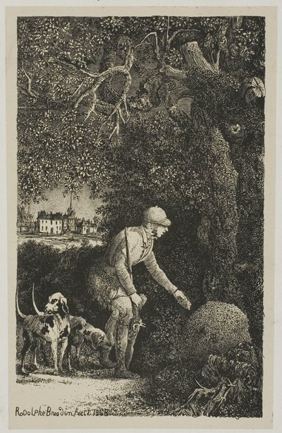 Dyplomata i mrowisko, ilustracja do bajek i opowieści Hippolyte de Thierry-Faletans autorstwa Rodolphe Bresdin