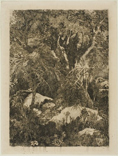 Las Fontainebleau autorstwa Rodolphe Bresdin