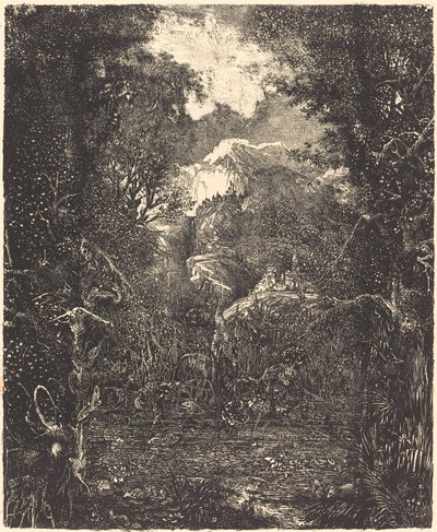 Miasta za bagnami autorstwa Rodolphe Bresdin