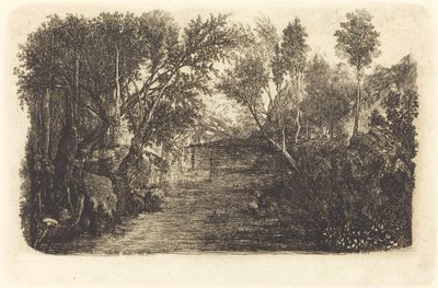 Kurs wody autorstwa Rodolphe Bresdin