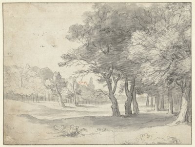 Widok na Haagse Bos, z Grote Kerk, Haga, w oddali autorstwa Roelant Roghman