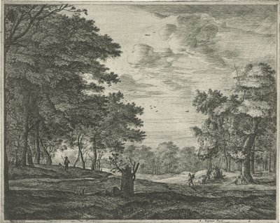 Turysta w Haagse Bos autorstwa Roelant Roghman