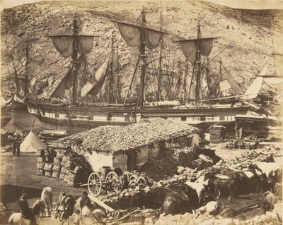 Port w Bałakławie, nabrzeże dla bydła autorstwa Roger Fenton