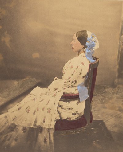  autorstwa Roger Fenton