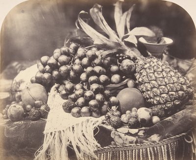Martwa natura z owocami, 1860. autorstwa Roger Fenton
