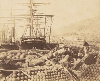  autorstwa Roger Fenton