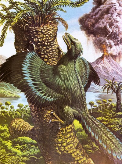 Archaeopteryx autorstwa Roger Payne