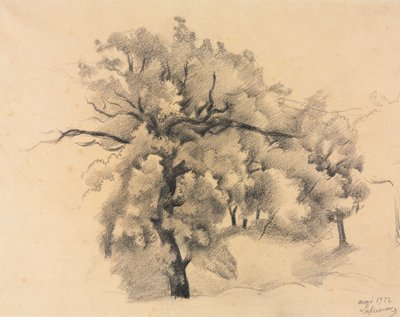 Studium Drzew autorstwa Roger de La Fresnaye