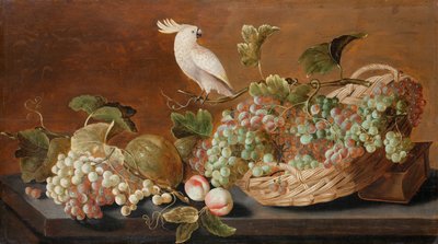 Martwa natura z papugą, ok. 1640 autorstwa Roloef Koets