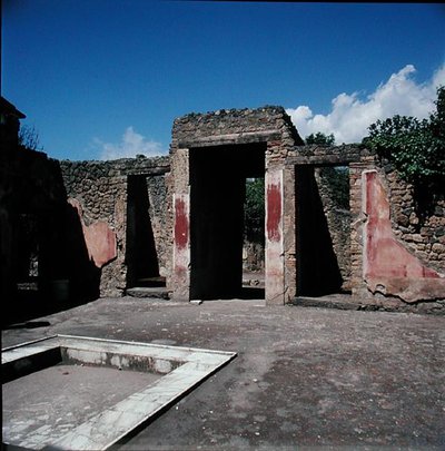 Do willi autorstwa Roman