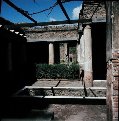 Do willi autorstwa Roman