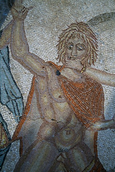 Porwanie Hylas przez nimfy, mozaika w Domu Wenus w rzymskim mieście Volubilis (Lista Światowego Dziedzictwa UNESCO autorstwa Roman