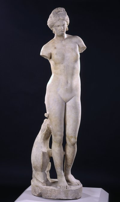 Afrodyta z Cyreny autorstwa Roman