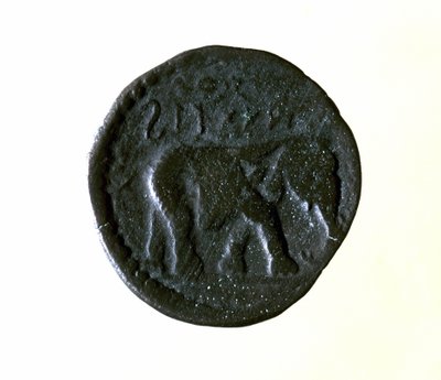 Moneta Kartagina przedstawiająca słonia. III lub II wiek p.n.e. autorstwa Roman