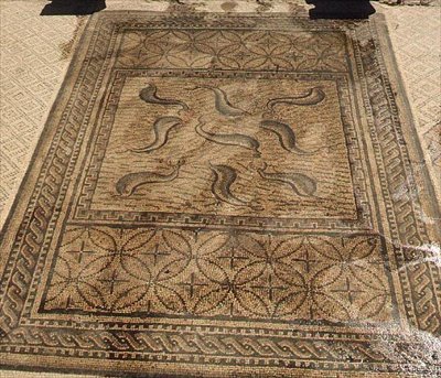 Delfiny, mozaika rzymska z Domu Orfeusza, III wne (mozaika) autorstwa Roman