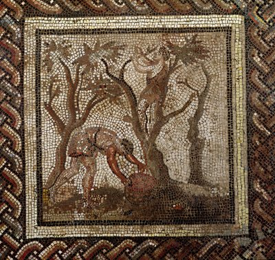 Zbiór winogron, z Saint-Romain-en-Gal (mozaika) autorstwa Roman