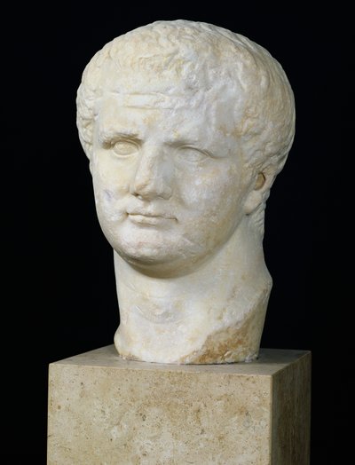 Głowa Tytusa (39-81) (marmur) autorstwa Roman
