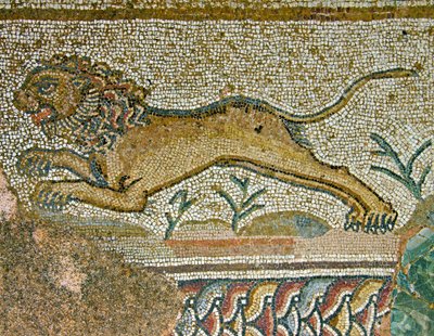 Scena polowania, fragment lwa, Dom Dionizosa, Pafos, mozaika cypryjska autorstwa Roman