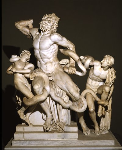 Laokoon i jego synowie (marmur) autorstwa Roman