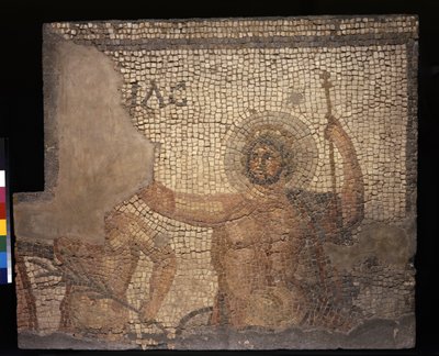 Mozaika z Domu Menander z Zeus, III-IV wiek (tessery wapienne i marmurowe) autorstwa Roman