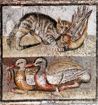 Sztuka rzymska: mozaika przedstawiająca dzikiego kota łapiącego kuropatwę i dwie kaczki. 200-150 pne. Rzym, Museo Nazionale Romano - Sztuka rzymska: mozaika przedstawiająca dzikiego kota łapiącego kuropatwę i dwie kaczki. 200-150 pne. Museo Nazionale Roman autorstwa Roman