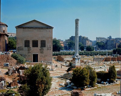 Forum Romanum: widok Kurii (kurii) miejsce obrad Senatu. I wiek p.n.e. Rzym autorstwa Roman
